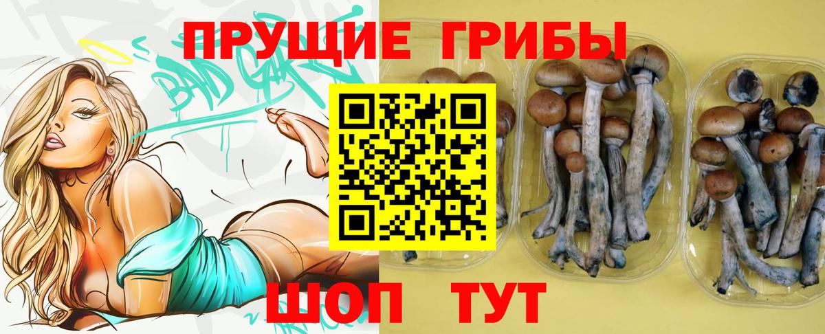 Галлюциногенные грибы Magic Shrooms Куйбышев