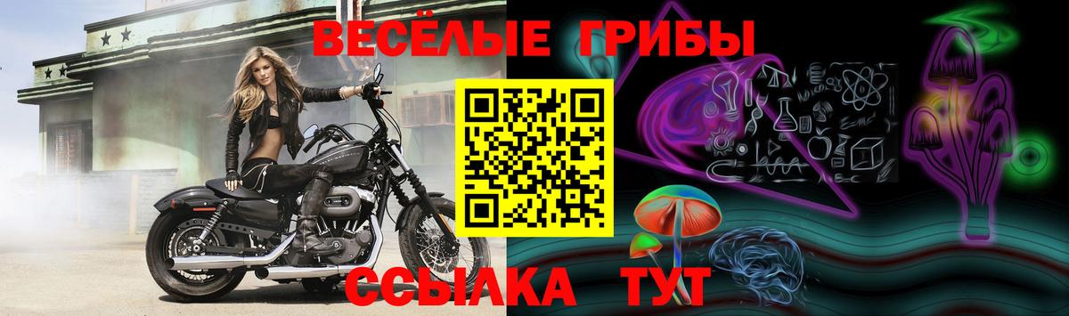 Галлюциногенные грибы мицелий  Вход с VPN  Куйбышев 